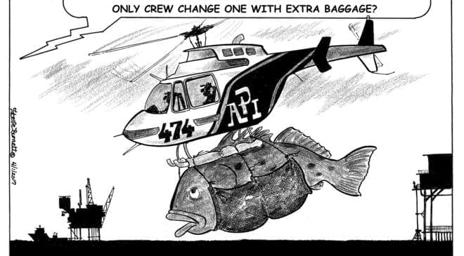 Fish 6 Fish