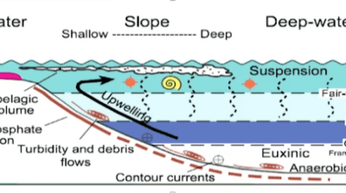 Figure 6: Organic matter deposit scheme in basins. Source: Loucks and Rupple 2007