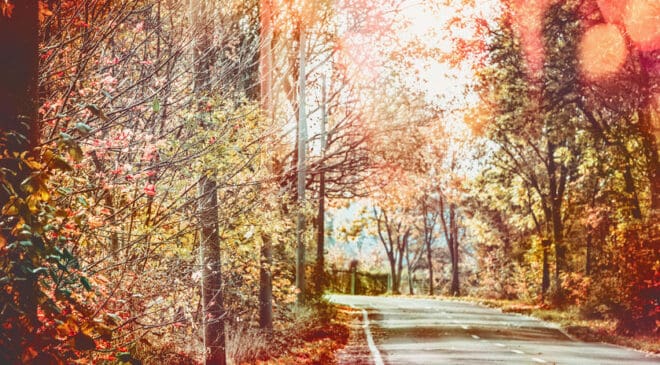 GasBuddy Annual Travel Survey finds 65% of Americans traveling by car for the holidays; 30% say gas prices are impacting their travel plans