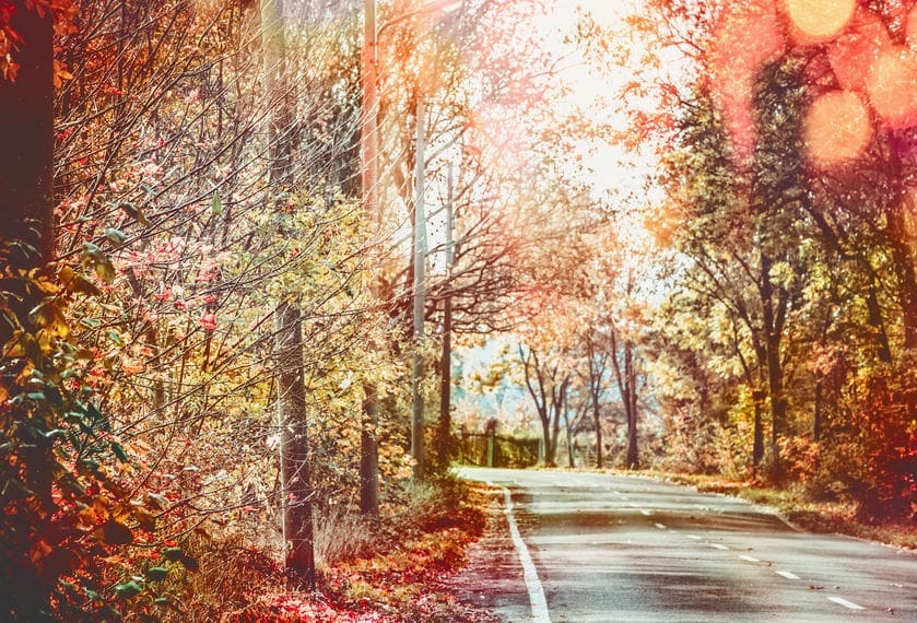 Thanksgiving Gas Prices Projected To Be Highest in Five Years 1 GasBuddy Annual Travel Survey finds 65% of Americans traveling by car for the holidays; 30% say gas prices are impacting their travel plans