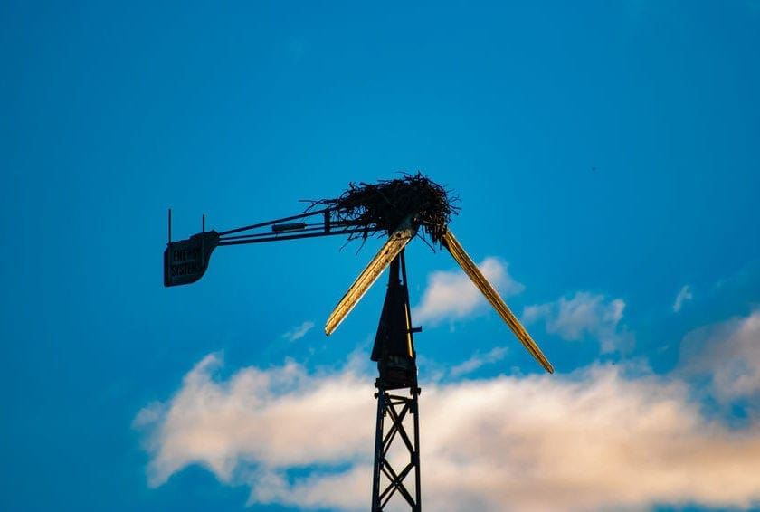 Biden’s Position on Oil and Gas Needs Clarification 1 Biden’s position on oil and gas needs clarification