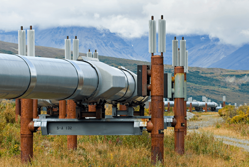 The Business Case for Oil and Gas Companies to Think — and Act — Sustainably 1 A significant portion of oil and gas CEOs have committed their organizations to a specific target: net-zero emissions by 2050 or sooner. It’s going to take a shift in mindset to achieve this goal. Photo courtesy of Feed Media