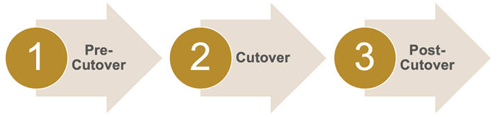 Leading Practices for ETRM System Conversion, Cutover & Go-Live 5 Organize The Cutover Activities Into Phases & Activity Groups