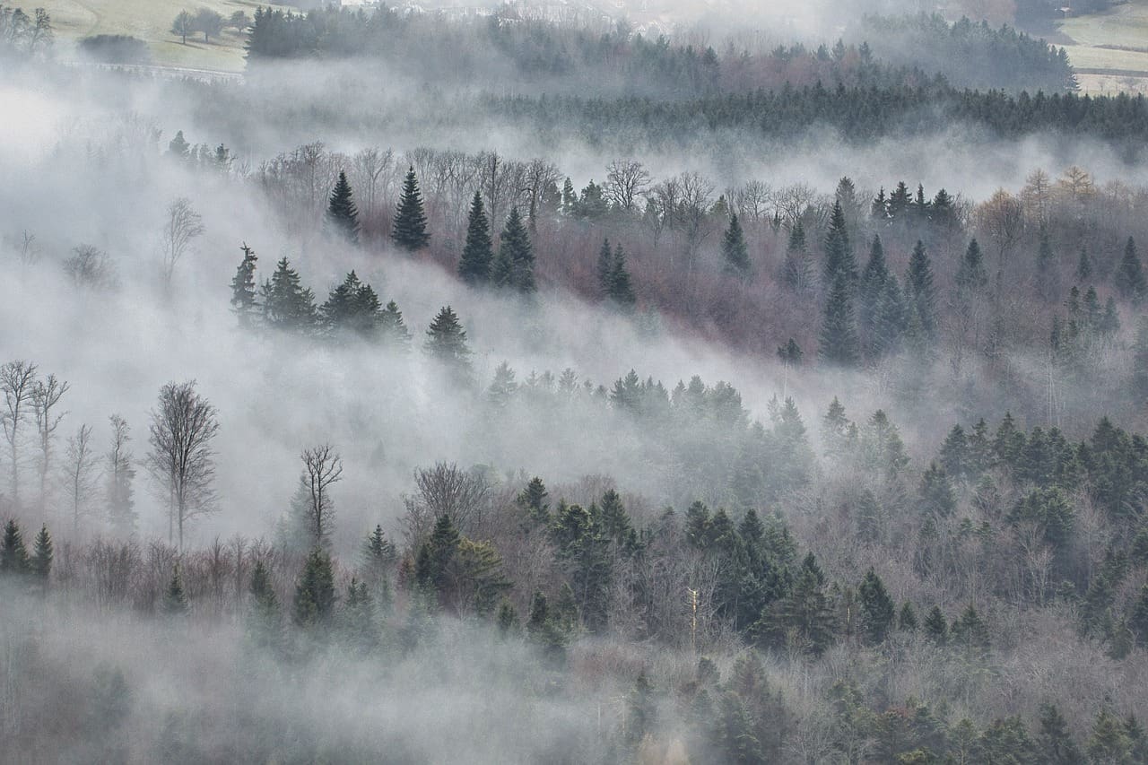 Natural Gas Set Records During 2024 Winter 1 Natural gas set records during 2024 winter