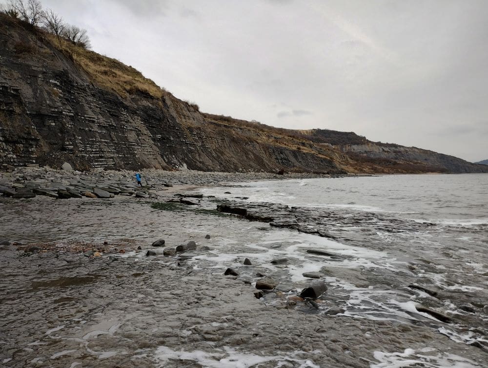 The Adventures of Mary Anning, Paleontologist and the First Female Fossil Hunter