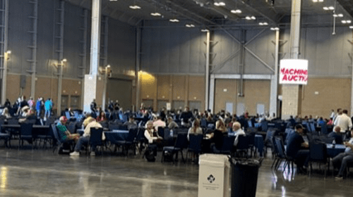 BBQ lunch at the Expo. Photos courtesy of Mark Stansberry.