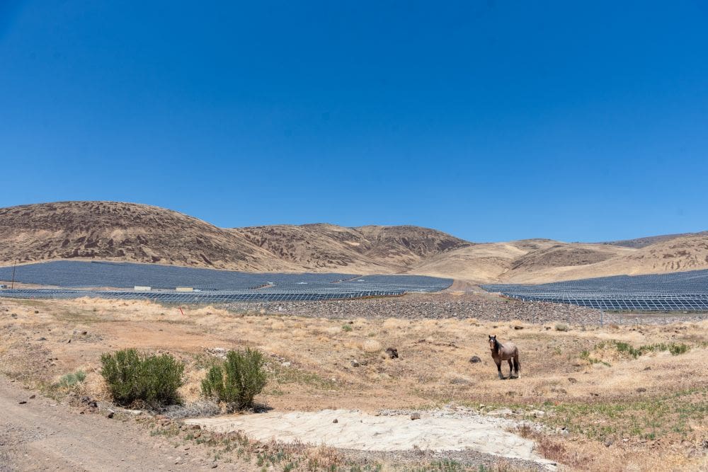 How Smart Asset Management is Unlocking Billions in Renewable Energy Value