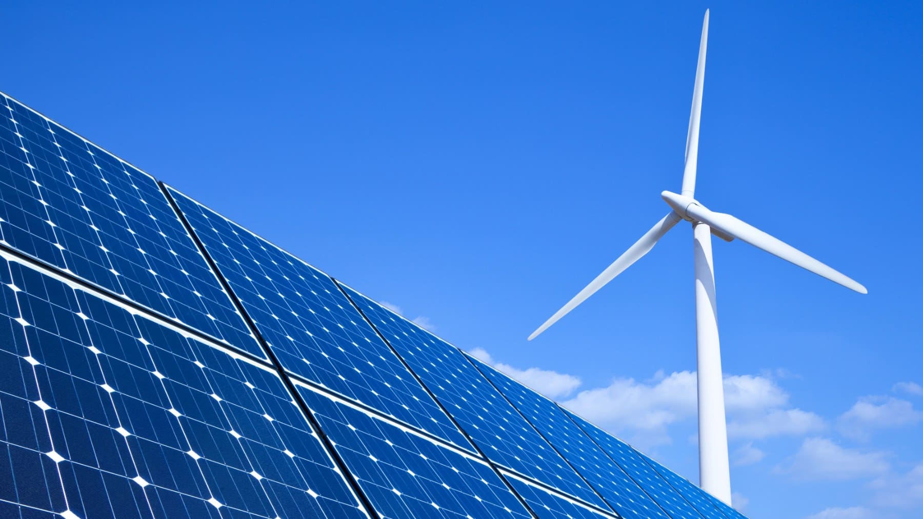 EU leaders pressed to maintain renewables drive as wind sector momentum falters 1 EU leaders urged to maintain course on wind power