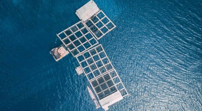 CHN Energy brings 1 GW floating solar mega-project fully online in China 21 CHN Energy, China