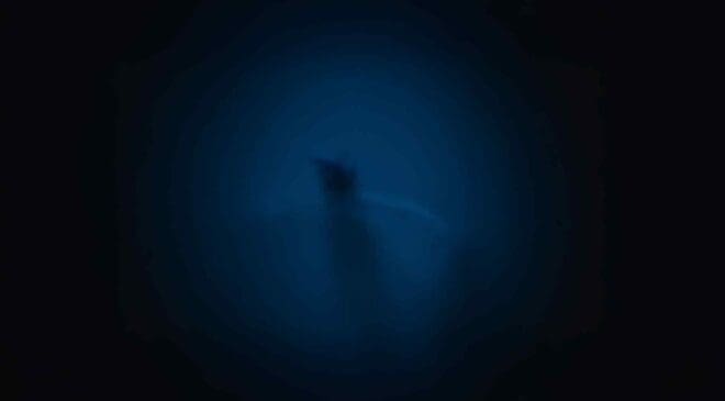 You wouldn’t want to find this underwater — Experts call it ‘a true ghost beneath the sea’ discovered after 120 years 39 true ghost beneath the sea