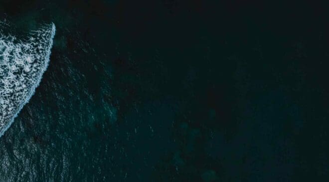 Lost to darkness for millions of years — Complex ecosystems found at the bottom of the Pacific Ocean 43 complex ecosystems at Pacific Ocean bottom