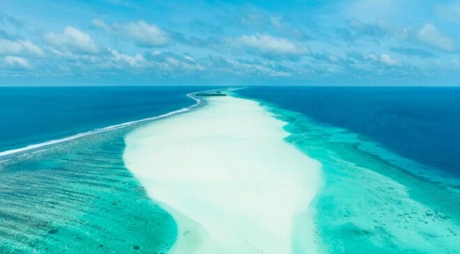 “NOAA sounds the alarm”: Ocean is changing color in 82 countries and these 2 American regions are the hardest hit 5 noaa ocean color 82 countries amercan regions