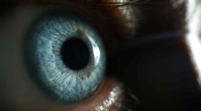 Experts say the next step in human evolution is the eyes — And they’ll look very different from today 47 the human eye
