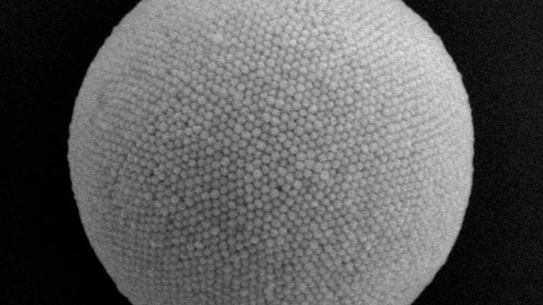 a plasmonic superball with nanoparticles