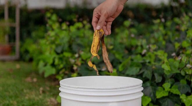 First New York told residents to separate food scraps — Now more than 4,000 tickets later the city is threatening $300 fines for throwing trash the old way 34 separate food scraps from trash