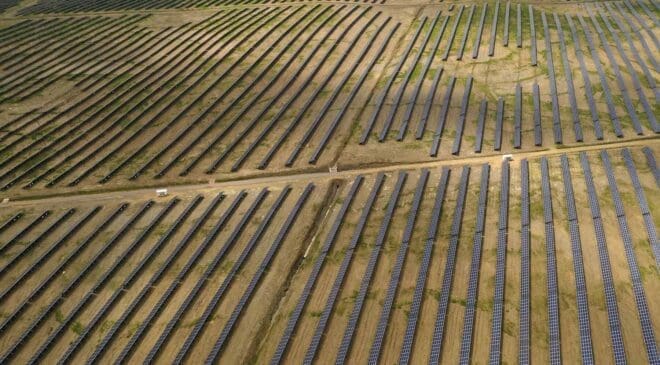 Scientists discover that millions of bats would rather disappear than fly over solar plants, and no one knows why 26 massive solar plant