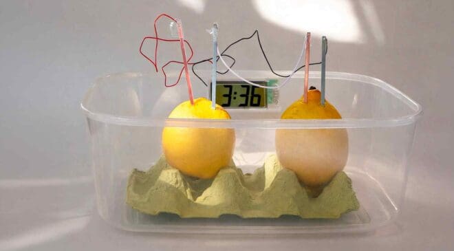 Researchers connected two lemons with a cable as a simple test until they realized they could store energy like tiny batteries 12 two connected lemons serving as biodegradable battery