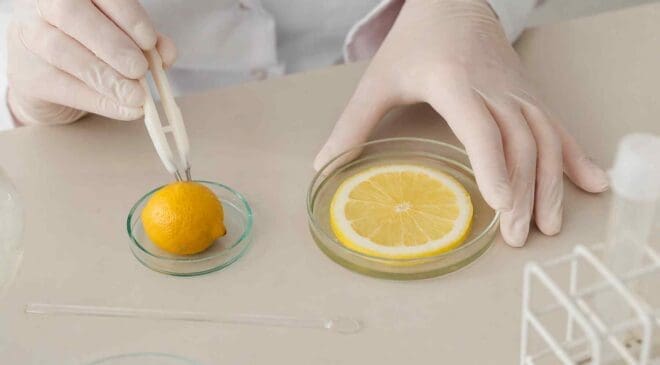 Chemists found lemons could be a hidden energy source and connected 2,923 of them to create a working battery 35 in-lab testing of lemons
