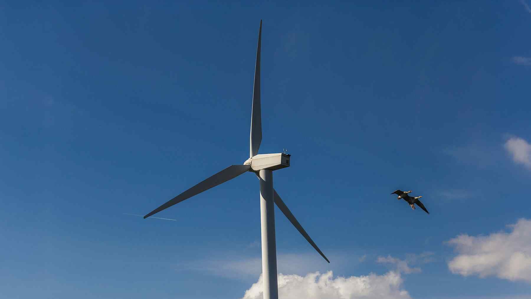 TotalEnergies and Masdar joint venture broadens international wind energy asset portfolio 1 TotalEnergies and Masdar joint venture