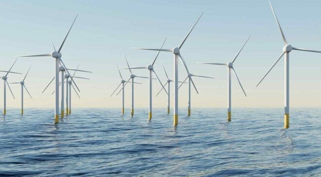 Offshore wind farms may be turning into vast walls at sea, and birds may no longer be able to cross them 30 offshore wind turbines