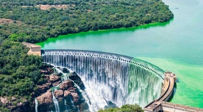 Deformed fish began appearing near a hydroelectric dam in the Amazon until scientists traced the damage to a river that has been disappearing for 10 years 22 hydroelectric dam in the Amazon