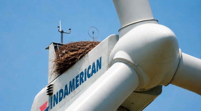 We were told wind farms would drive birds away until prairie chickens ignored the turbines completely and kept building their nests right beside them 8 10. Energies Media We were told wind farms would drive birds away until prairie chickens ignored the turbines completely and kept building their nests right beside them