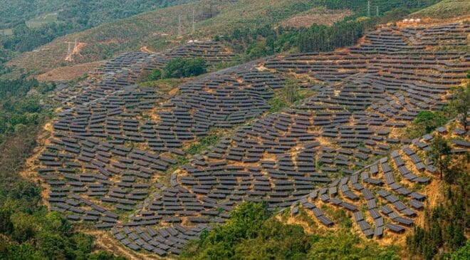 They built a solar power plant in an unusual microclimate. Soon after, the site was teeming with life: 300 plant species, 36 butterfly species, 30 grasshopper species, and 13 dragonfly species 40 solar plant surrounded by vegetation