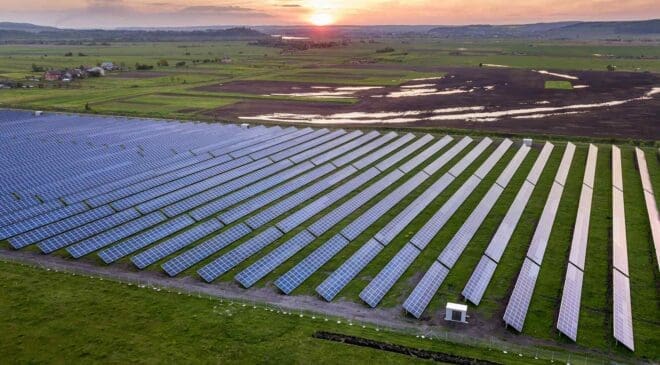 More than 1 million solar panels keep operating at this plant thanks to an army of 3,000 sheep protecting them from their greatest threat 33 green vegetation surrounding a million solar panels