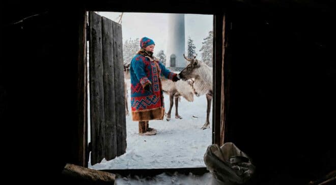 They wanted to build 278 wind turbines until they realized the land already belonged to migrating reindeer and the Sami who follow them 4 Sami petting reindeer with wind turbine background