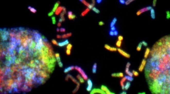 Australian engineers studied the human brain and discovered it can generate energy, and now they want 200,000 living cells to help power their data centers 17 biological cloud computing system's living cells