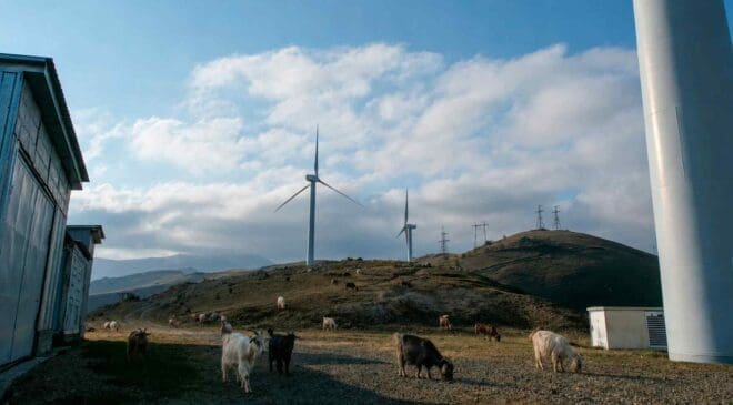 People laughed at rumors that a wind farm in Taiwan was keeping goats awake until 400 turned up dead three years later 18 goats herding near wind farm