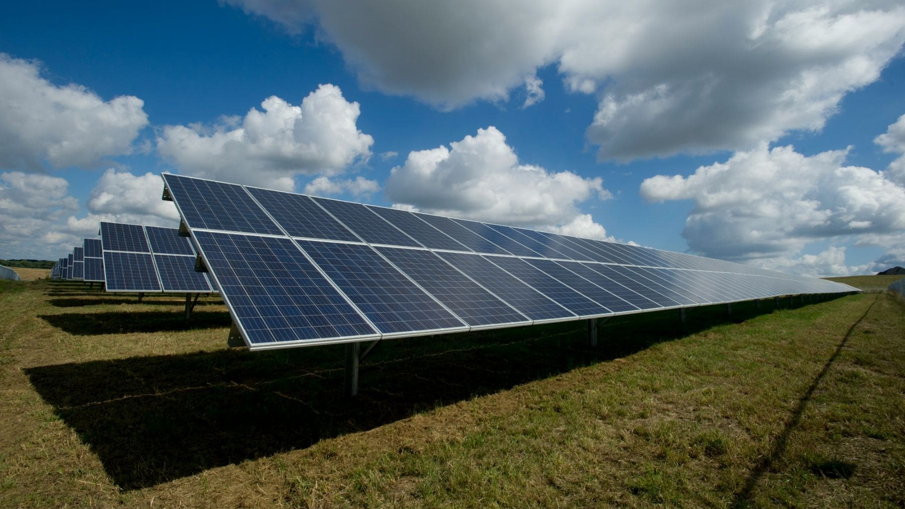 AGL and Sungrow built a 5.99 MW solar and battery system on an Australian almond farm that now runs on 83% renewable energy 1 Solar panels