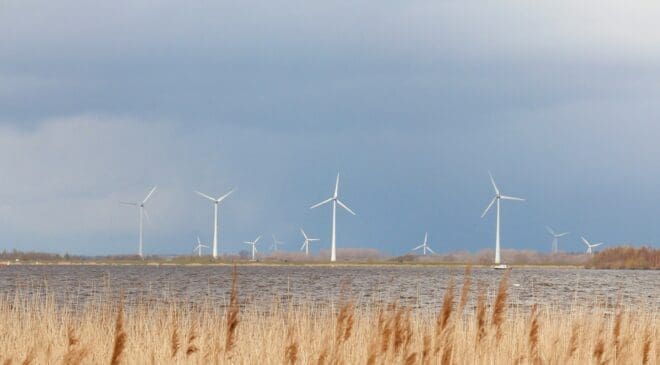 Zeevonk offshore wind project selects a Dutch cable maker whose low-carbon design helped secure its place in the tender 13 Wind