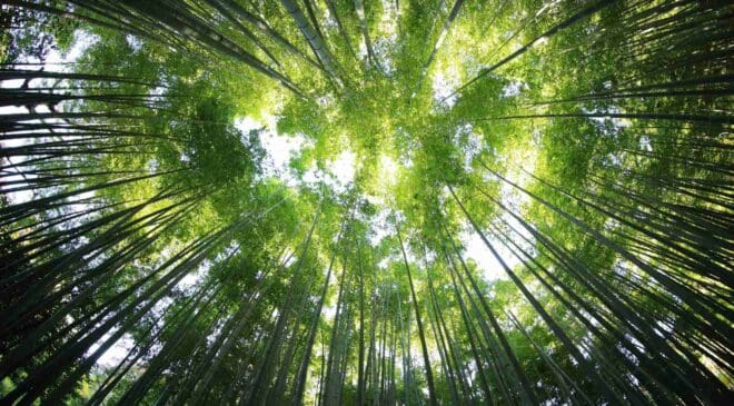 Barocal raised $10 million to replace greenhouse-gas refrigerants with pressure-sensitive plastic crystals 50 kazuend 19SC2oaVZW0 unsplash 1