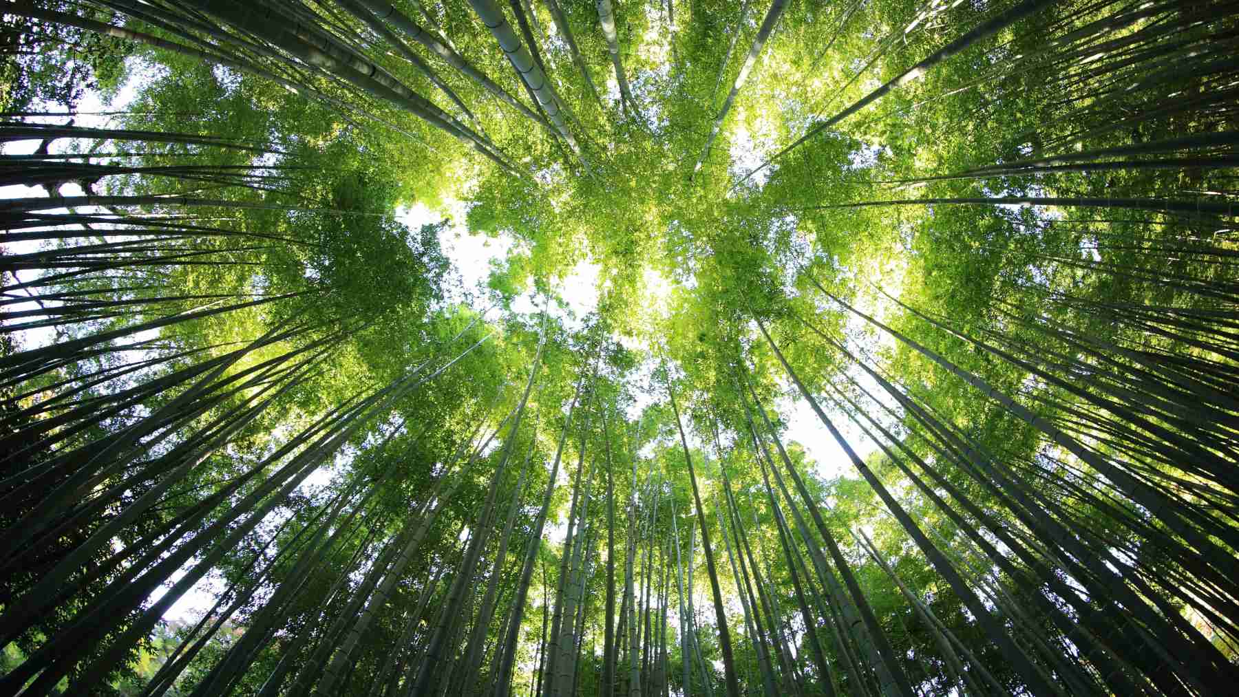Barocal raised $10 million to replace greenhouse-gas refrigerants with pressure-sensitive plastic crystals 1 kazuend 19SC2oaVZW0 unsplash 1