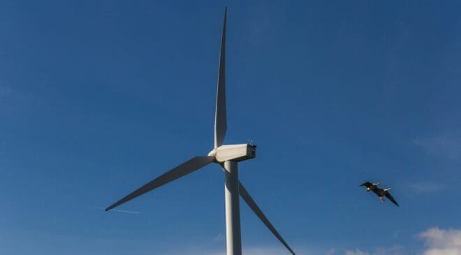 Minsait's thermal camera system slashed bat deaths at wind farms by 85% while keeping turbines running longer 49 thomas franke DLuGXwyVTdA unsplash 1