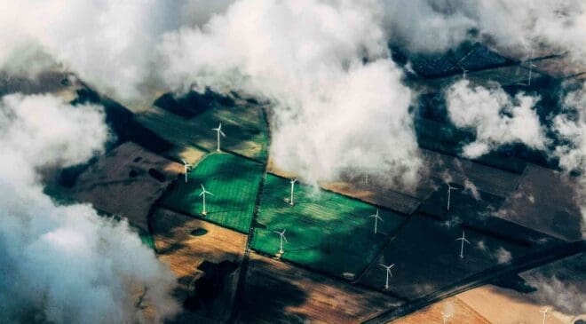 Forty years later, they realized a 6,000-turbine wind farm in California had been built in the wrong place, and thousands of birds were paying the price 48 wind farm turbines observed from sky