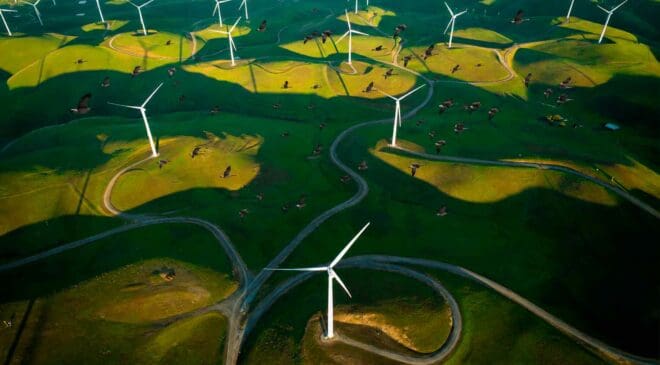 This open-field wind farm 'trained' its turbines to stop when they detect a bird and has saved more than 1,000 vultures in 13 years 29 birds flying over wind farm