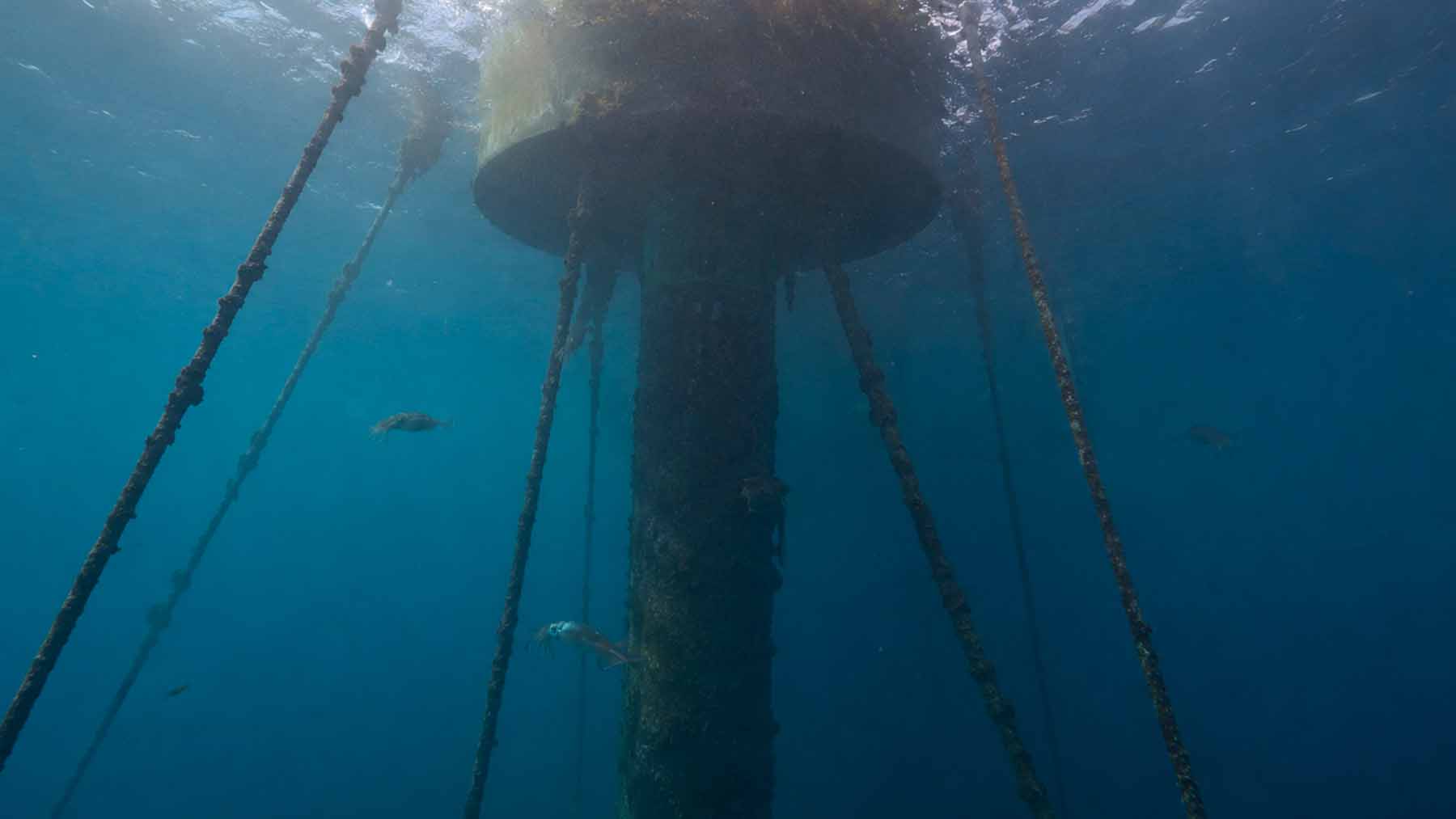 floating wind turbine in Japan