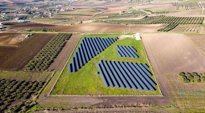 Researchers placed solar panels over potatoes, wheat, and clover—and months later, the crops told a surprising story 31 solar panels installed over crops field