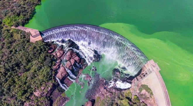 In the Amazon, a hydroelectric dam created ‘green islands,’ but 26 years later, most of the animals had disappeared, including mammals, large birds, and turtles 36 Amazon hydroelectric dam create green islands