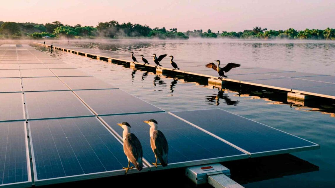 California covered ponds and reservoirs with floating solar panels ...