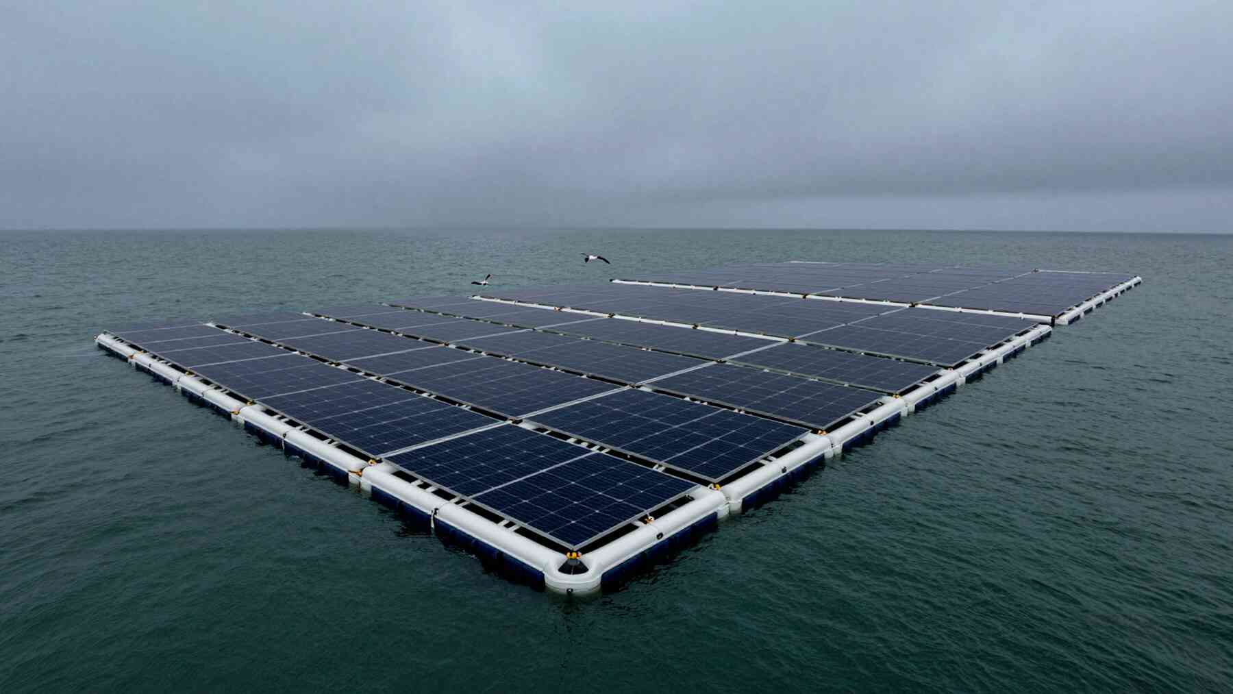 18. GESTION Solar panels are moving into the open ocean and no one fully knows what they will do to life beneath them