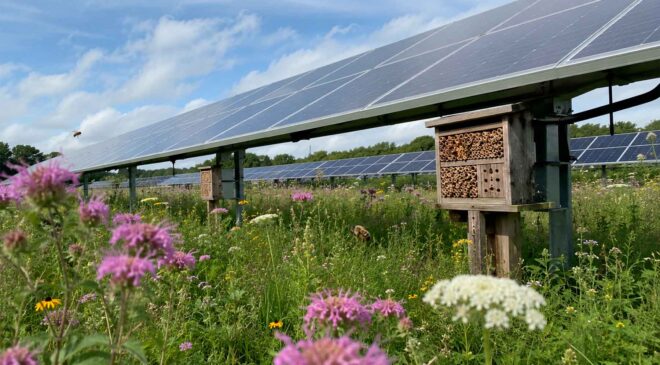 A new Wisconsin solar farm is building a “hotel” for more than 300,000 solitary bees that will live beneath the panels and help produce “solar honey” 26 beehives installed on solar panel arrays