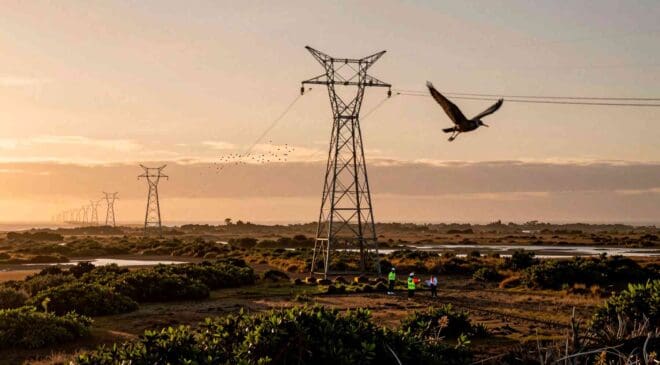 At the center of the world, engineers are quietly rewiring how a nation powers itself without silencing the birds that cross its skies twice a year 32 Birds