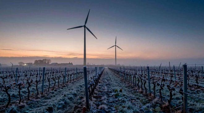 Wind turbines warm the air around them at night, and new simulations show just how much that matters for frost-vulnerable vineyards 2 Wind