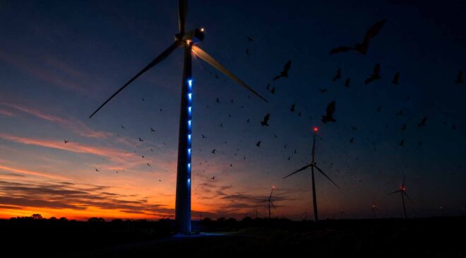 By day, this Indiana wind farm operates like any other, but after sunset, a first-of-its-kind system switches on and saves thousands of bats 23 bats flying around wind farm at night