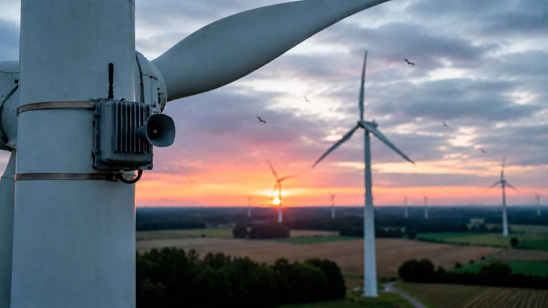 bat repellent devices in wind farm