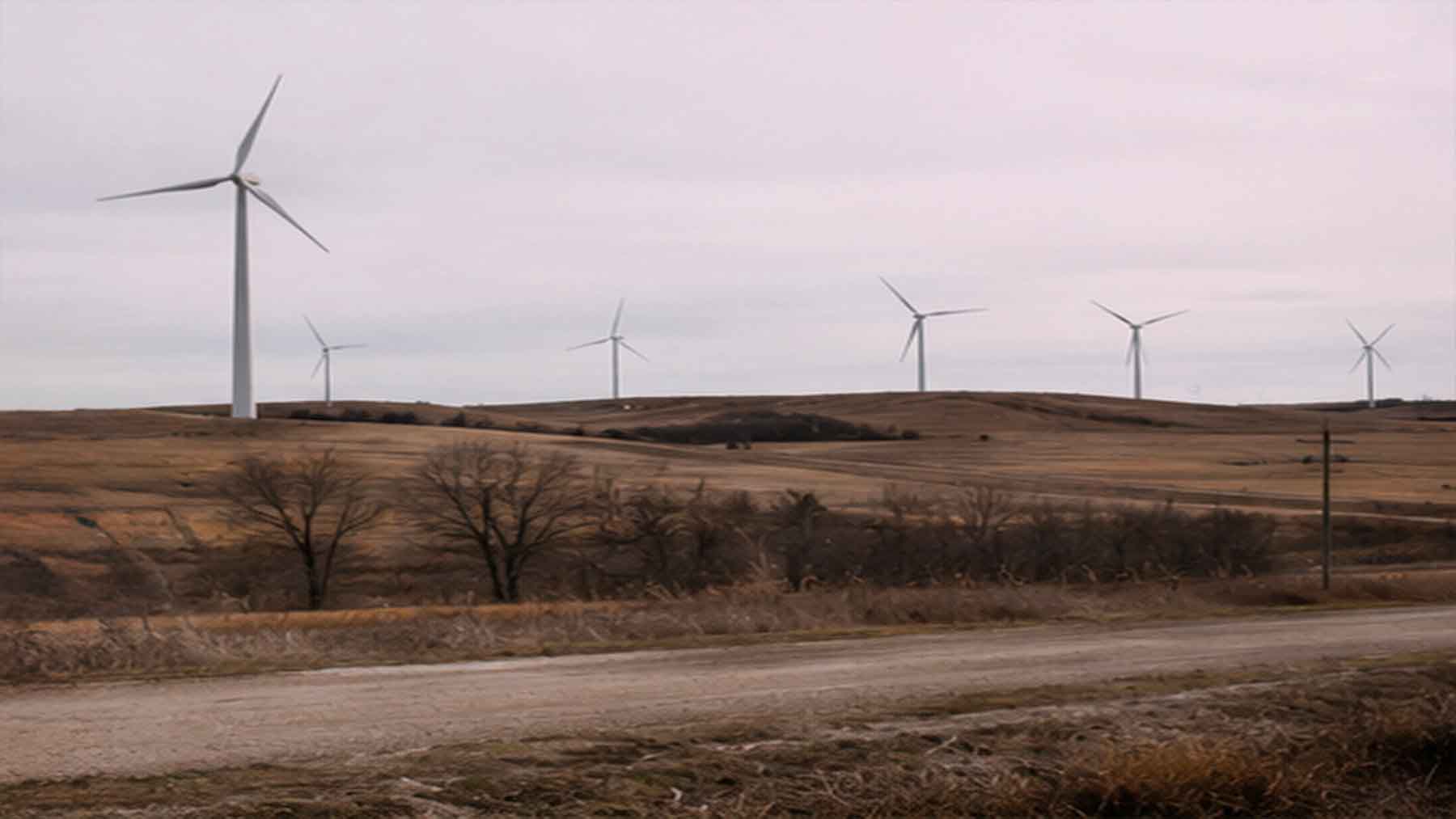 A North Dakota farmer cashes his first wind check while his