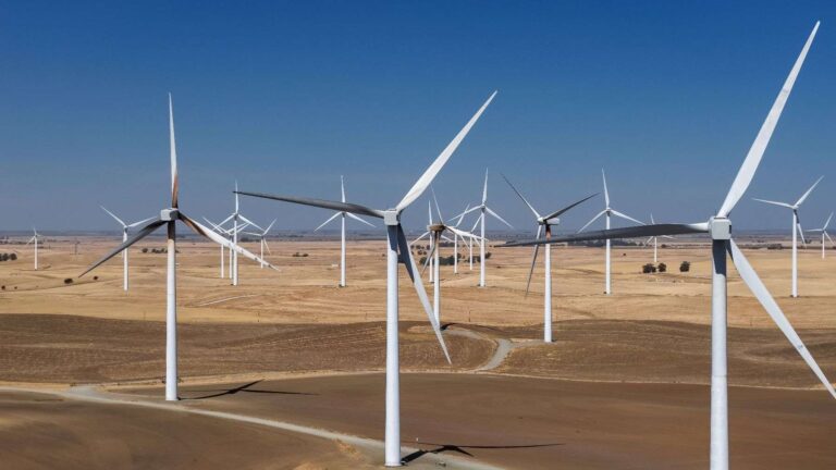 After ultrasound halved bat deaths in a two-year trial, 255 Texas wind turbines are slated for protection 18 several wind turbines in Texas